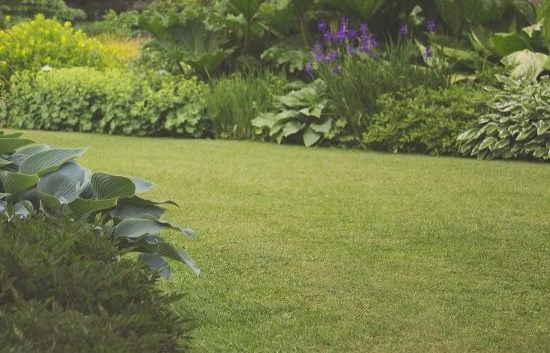 grüner Garten mit Blumenbeeten Garten_Rasen_Kauf