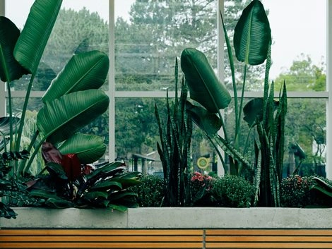 begrünter Blumenkasten Garten_Vorteile_Hochbeet_2