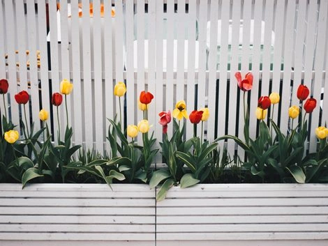 weißer Zaun mit Blumenkästen Zäune&Mauern_Sichtschutz
